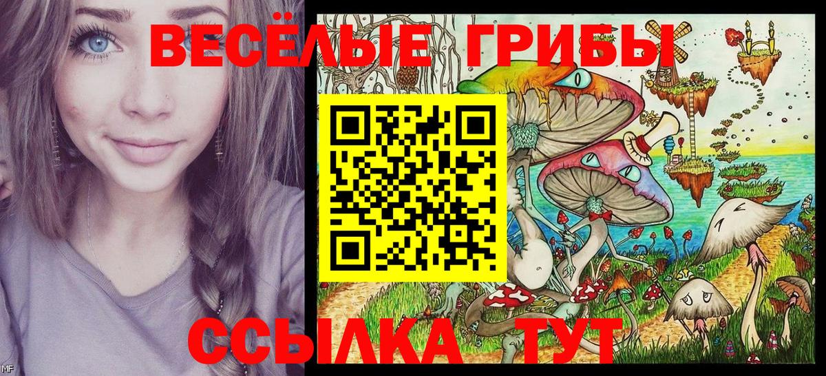 Псилоцибиновые грибы Psilocybe  Вход с VPN  Казань 